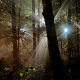 Illustration for article titled How to Cloak a Crime in a Beam of Light